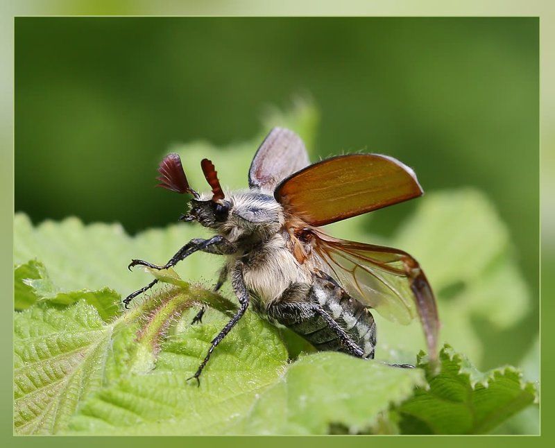К полёту готов!..-2 фото превью