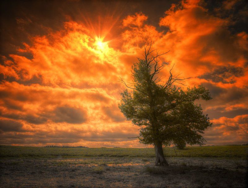 Одиночество фото превью