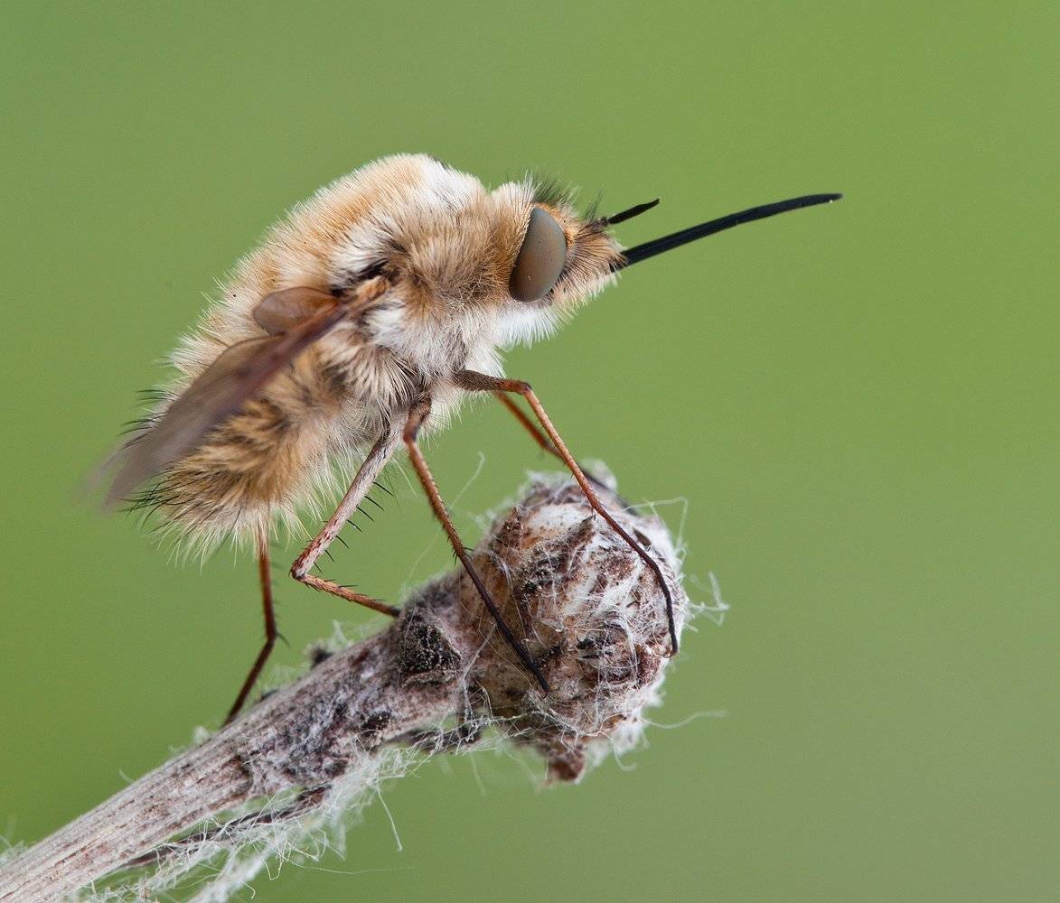 , Андрей Канышев