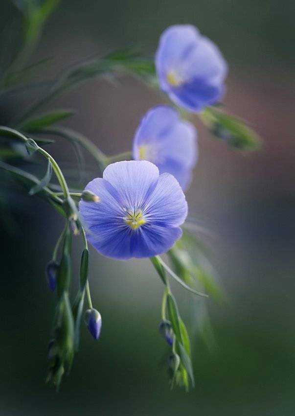 , Kasia Mycatherina Pietraszko
