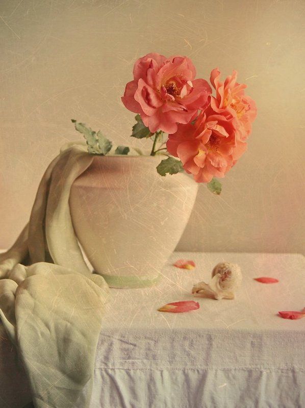 С веткой розы фото превью