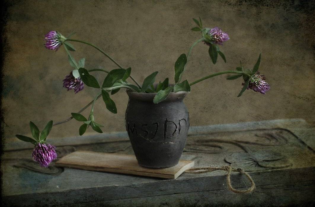 , Петрова Татьяна