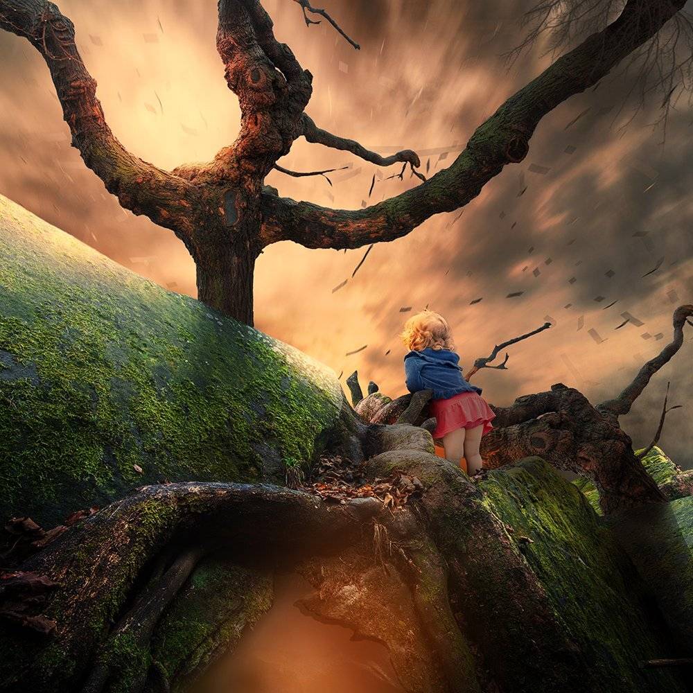 balance, cliff, dog, girl, ioana, iris, joy, manipulation, mist, mystery, photoshop, psd, purple, red, running, tree, tutorials, violet, Caras Ionut