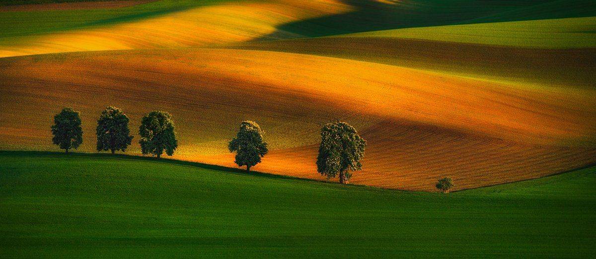 Czech, Moravia, Pawel, Spring, Uchorczak, Pawel Uchorczak