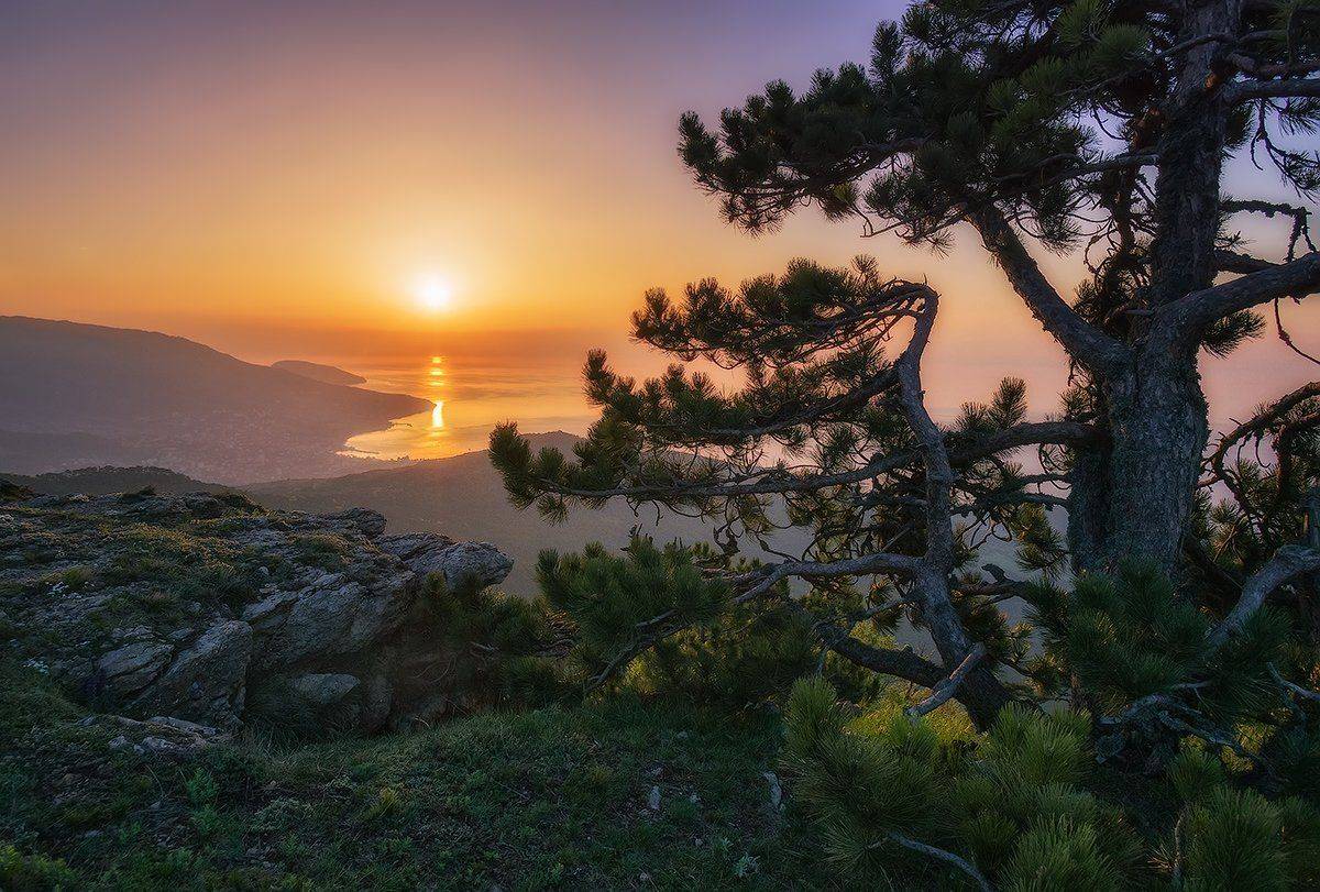 , Игорь Мелекесцев