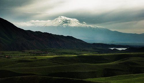 Арарат