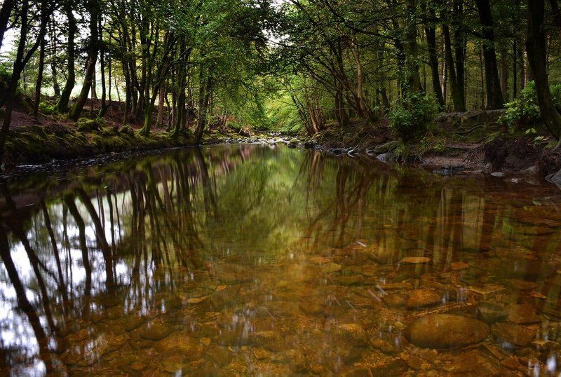 Northern Ireland Tollymore Forest Park фото превью