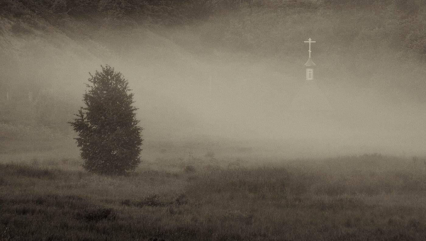 , Владимир Перепечаев