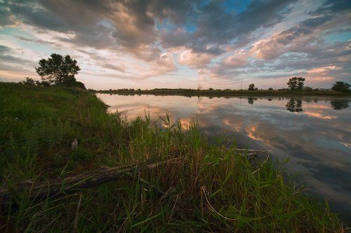 Заброшенный пруд, где лилии не цветут