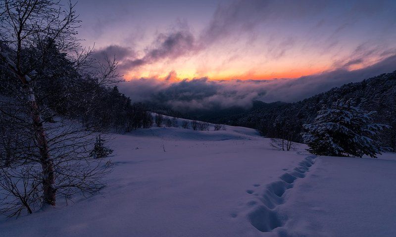 ТАМ, НА НЕВЕДОМЫХ ДОРОЖКАХ.... фото превью