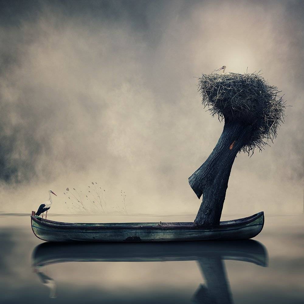 alone, boat, fog, girl, green, inside, ladder, leaf, light, manipulation, mounting, mystery, psd, reflection, tree, tutorials, wood, Caras Ionut