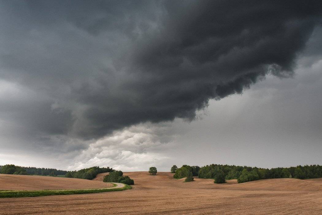 Беларусь, Весна, Гроза, Дождь, Май, Вейзе Максим
