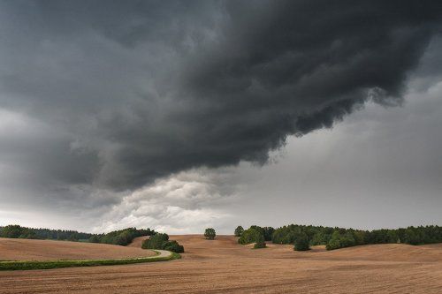 Грозовая