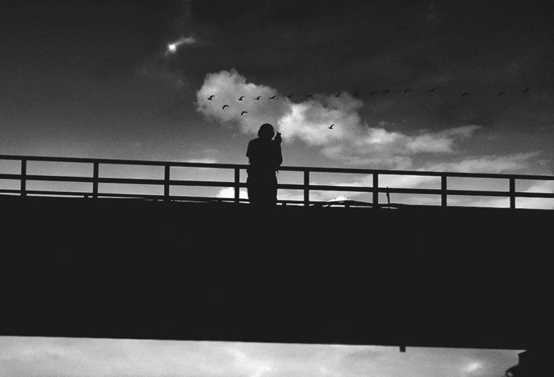 Силуэты фото превью