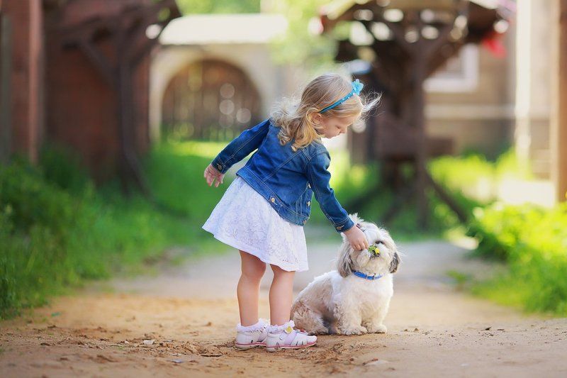 фото превью