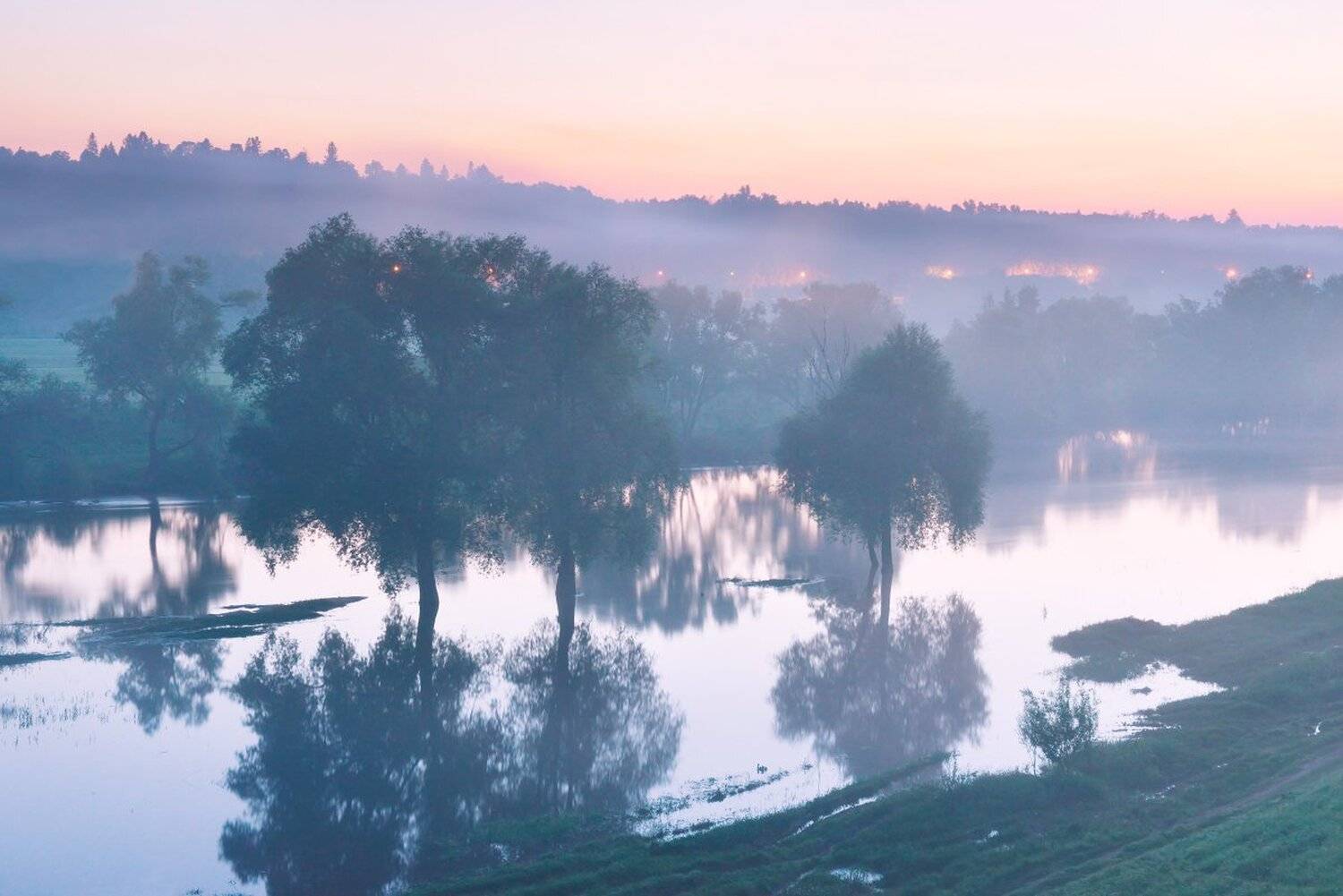 , Максим Евдокимов