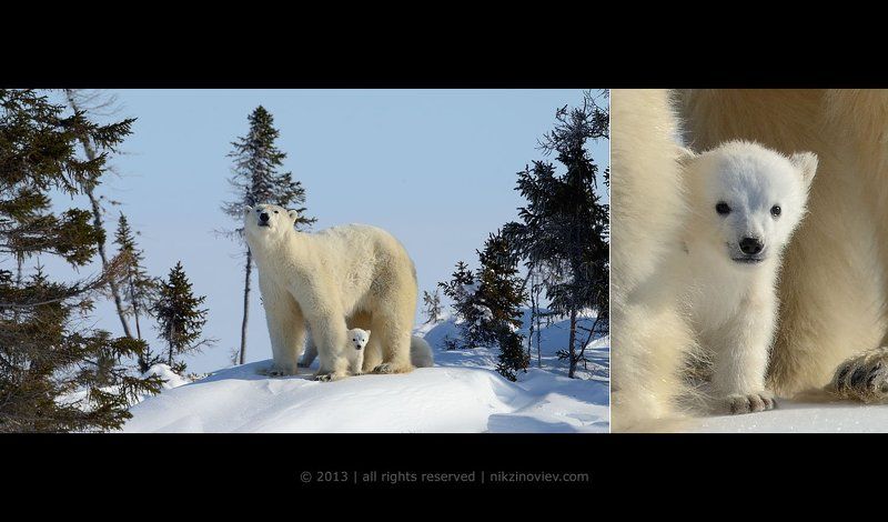Первый раз увидеть человека фото превью