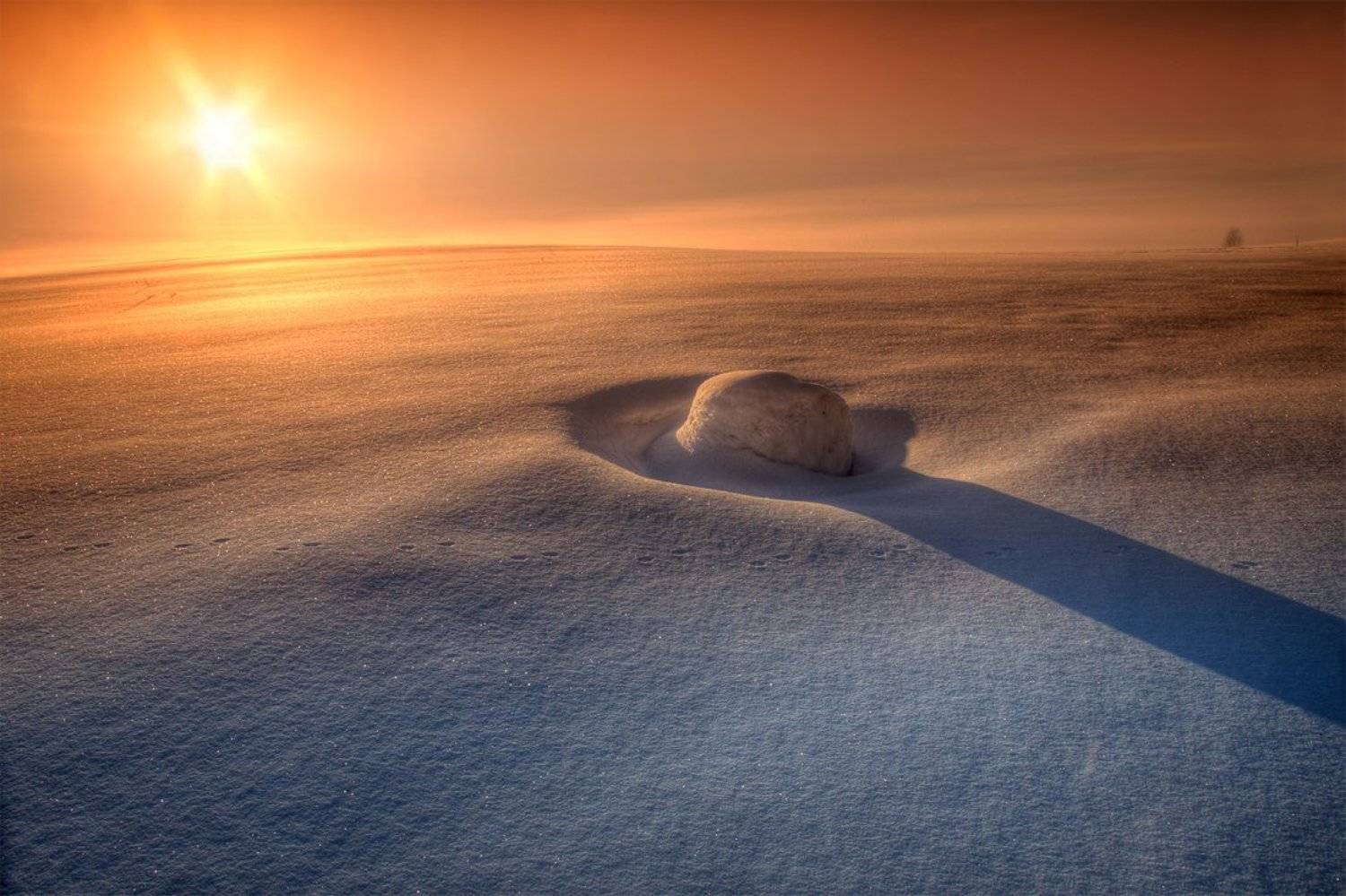 , Marius Gailiu&scaron;is