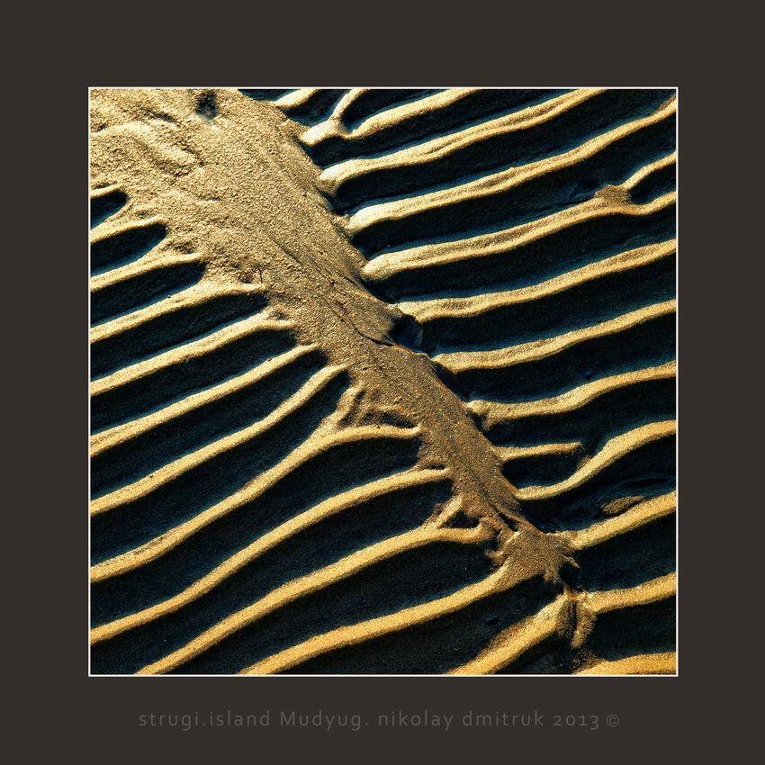 , николай дмитрук