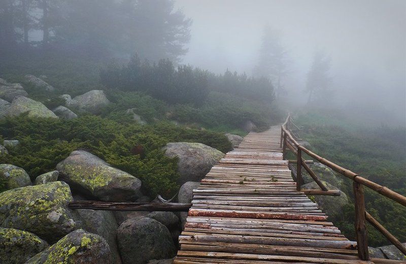 bulgaria, vitosha  фото превью