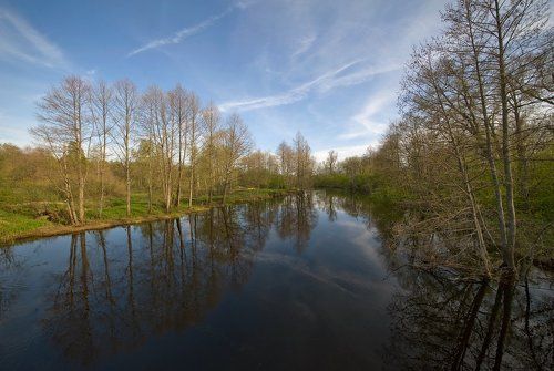 У весенней реки