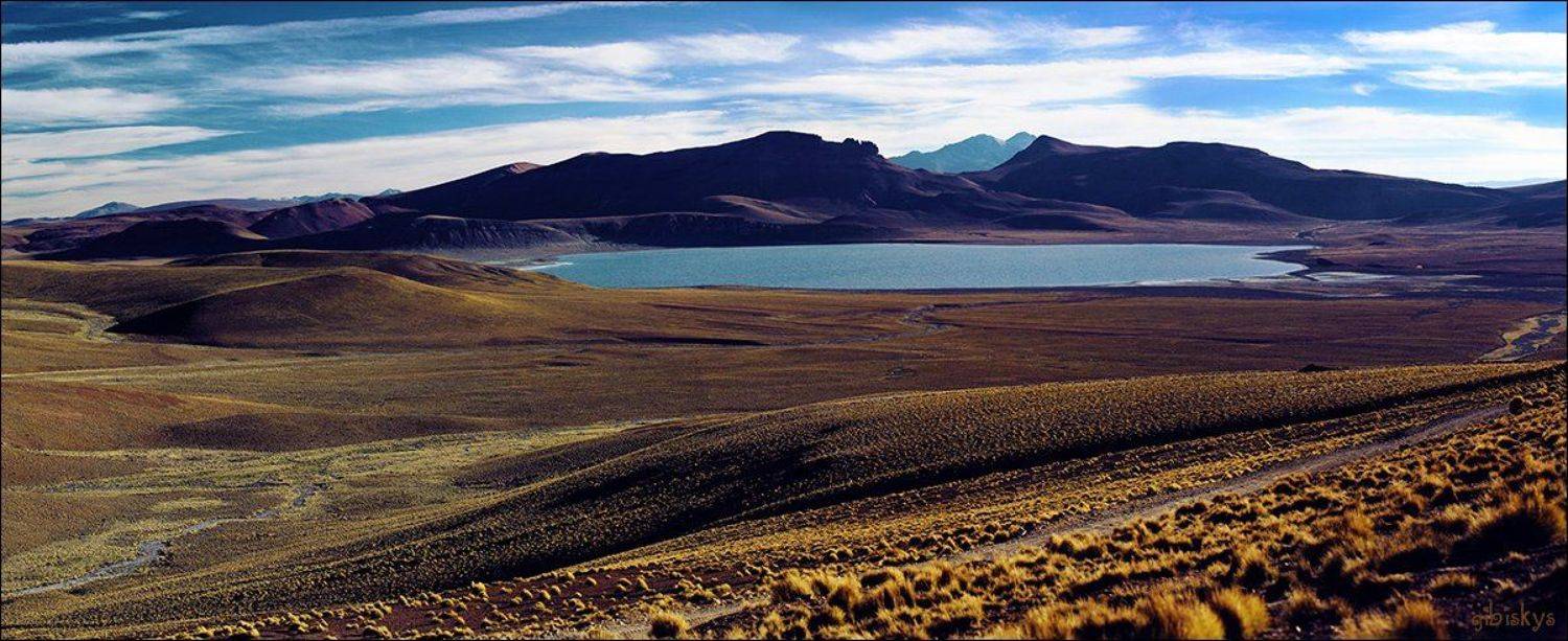 , Анна Пшишылны