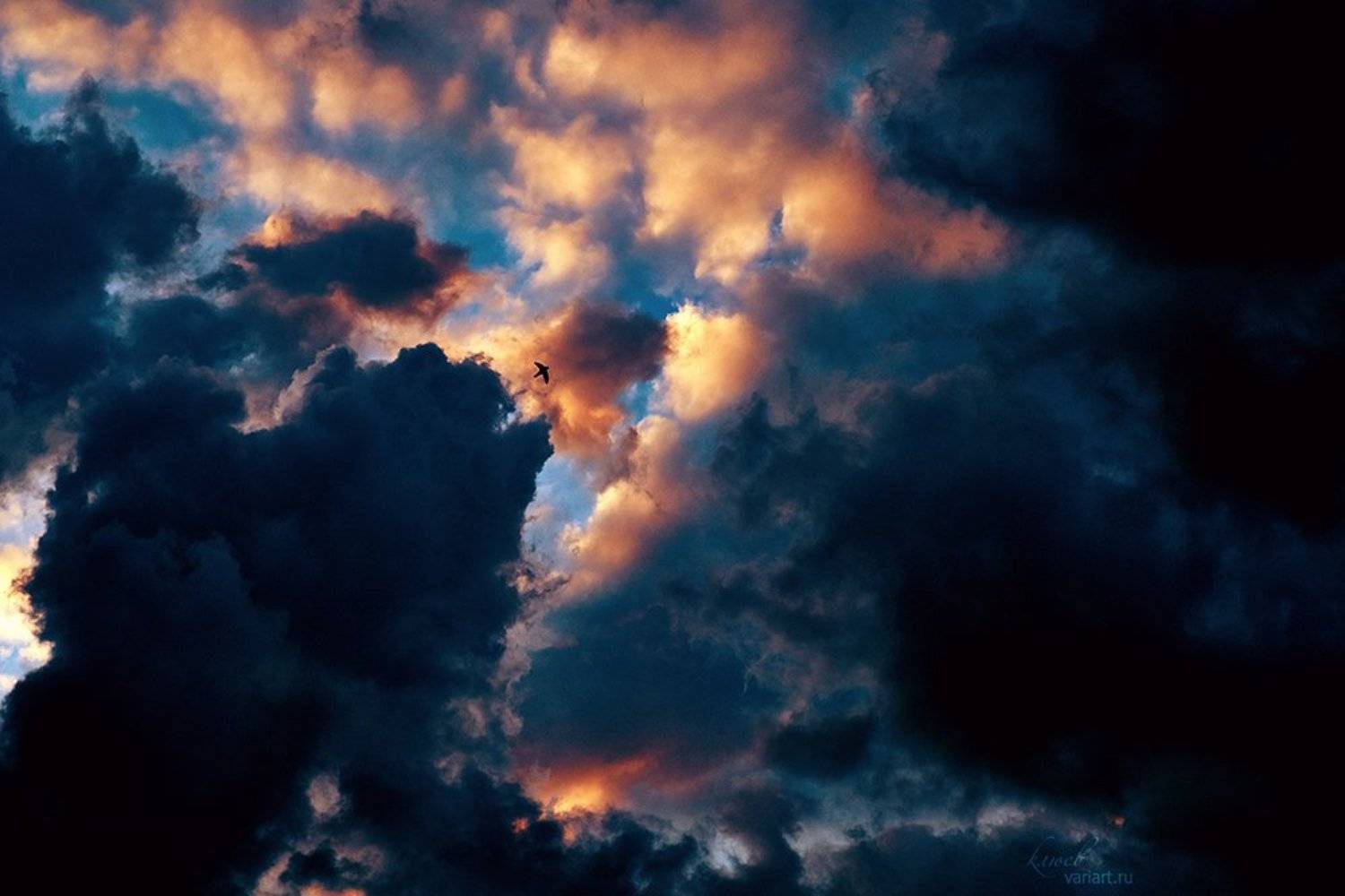 , Денис Клюев