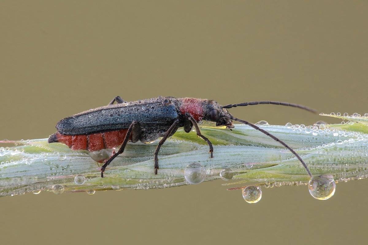 , Вадим Ходаковский