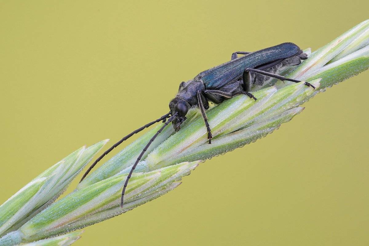 , Вадим Ходаковский