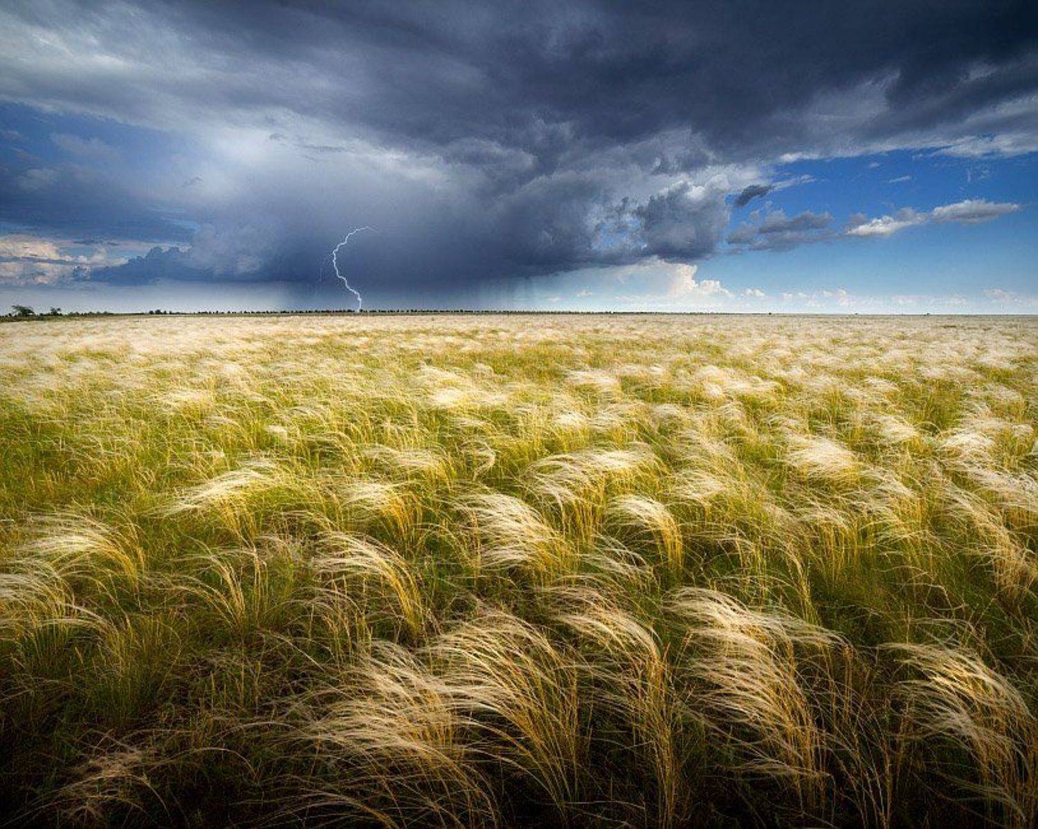 , Алексей Пучков