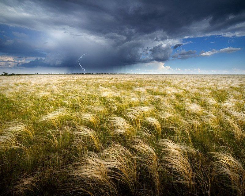 ковыль и гроза фото превью