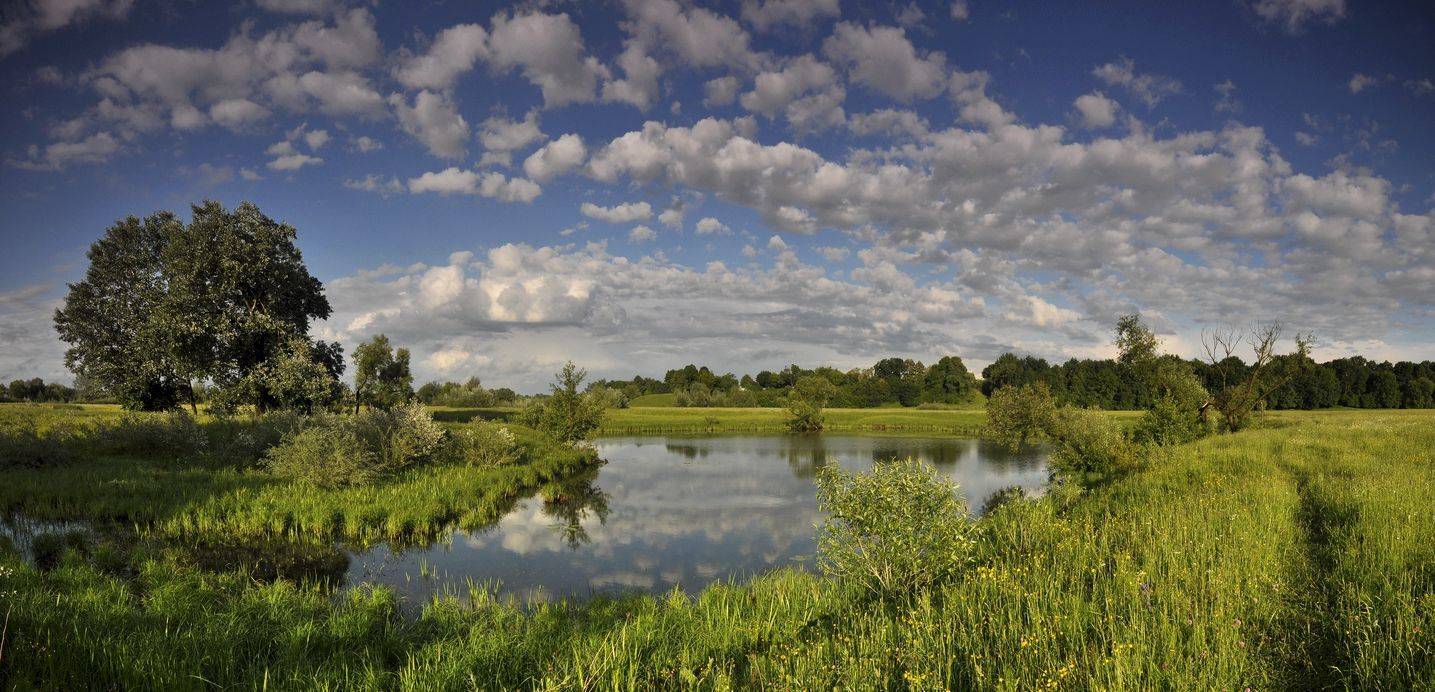 , Володимир Карчевський