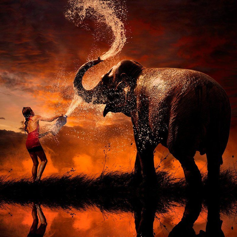 elephant, hard day, leaf, light, mounting, reflection, splash, splashing, sunset, tree, water, girl, manipulation, orange, playing, smoke, sparkle, tutorials Playground battlefield фото превью