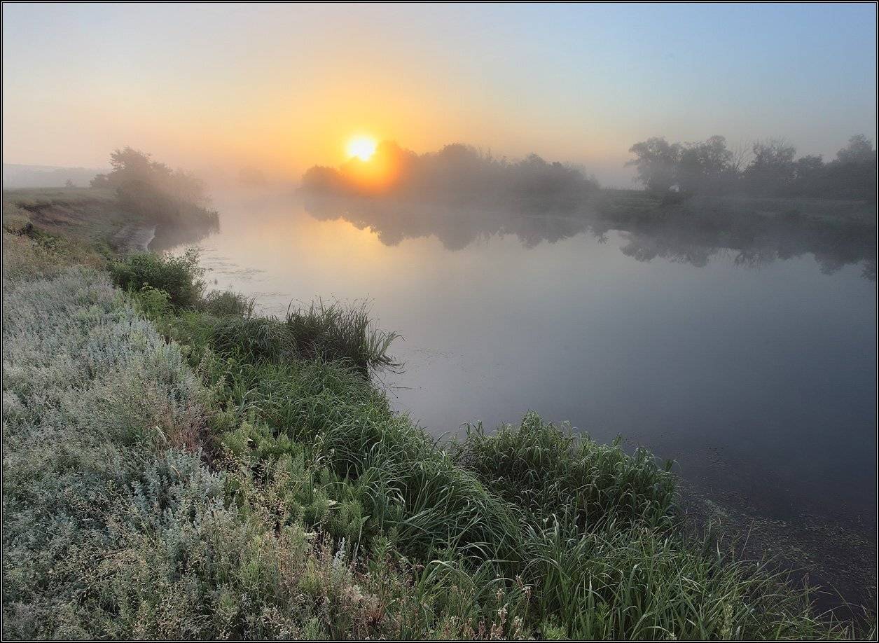 , Михаил (mgk)