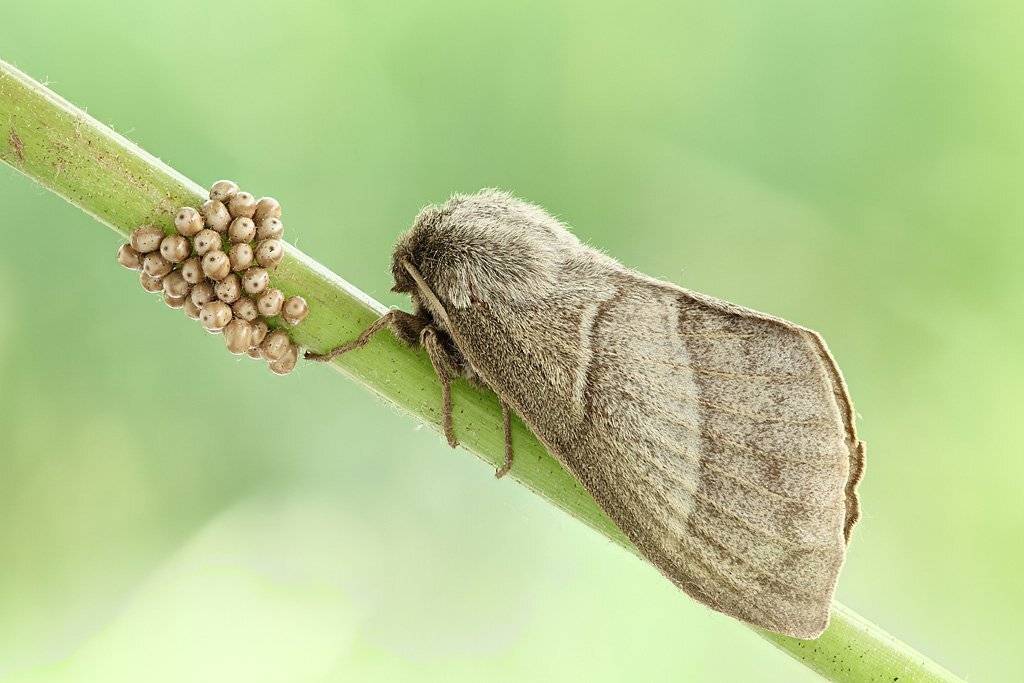, Сергей Таланов