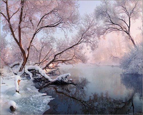 / Фрагменты морозного утра /