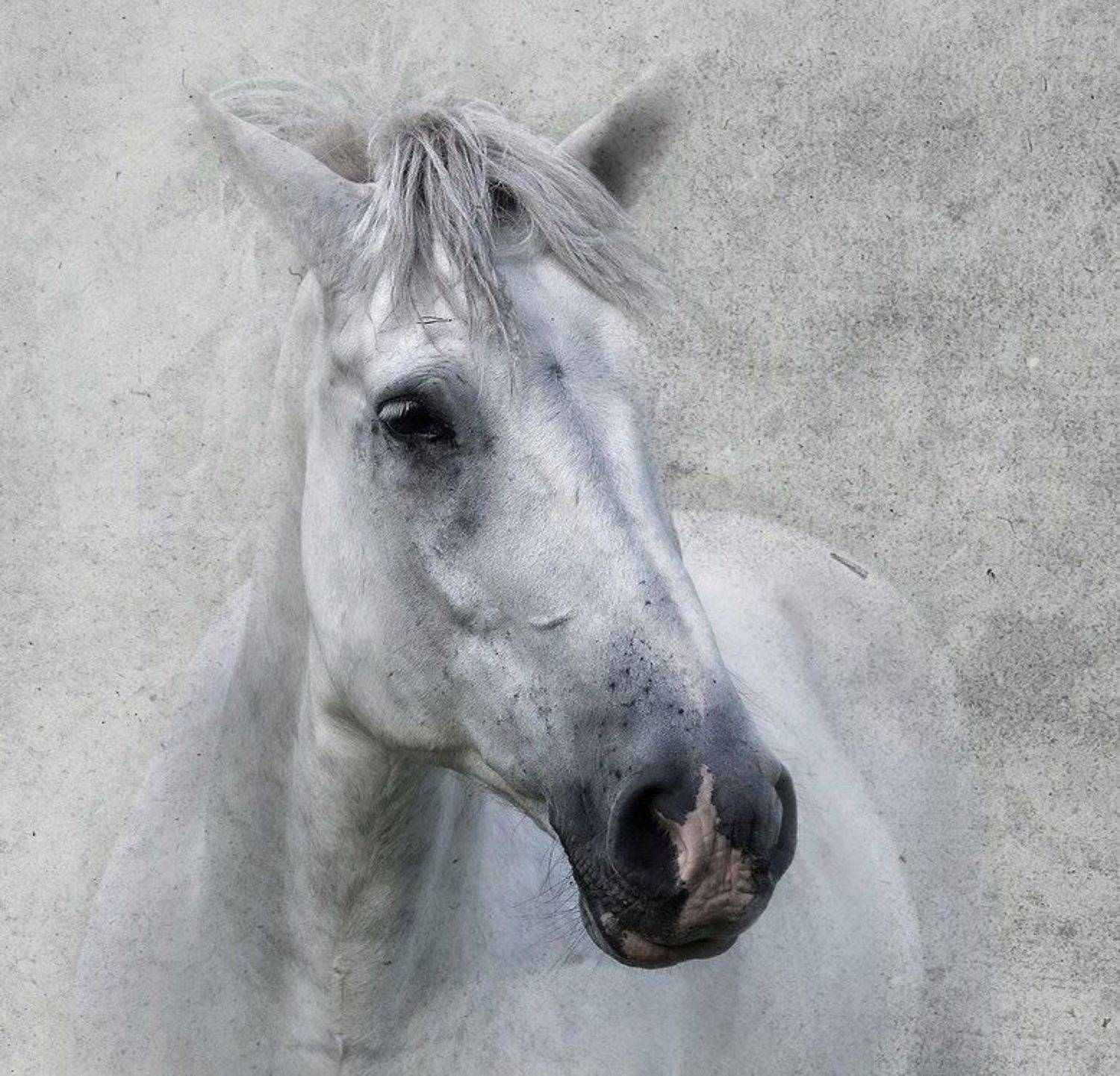 , Марина Фомина