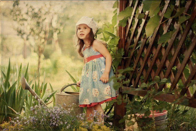 фото превью