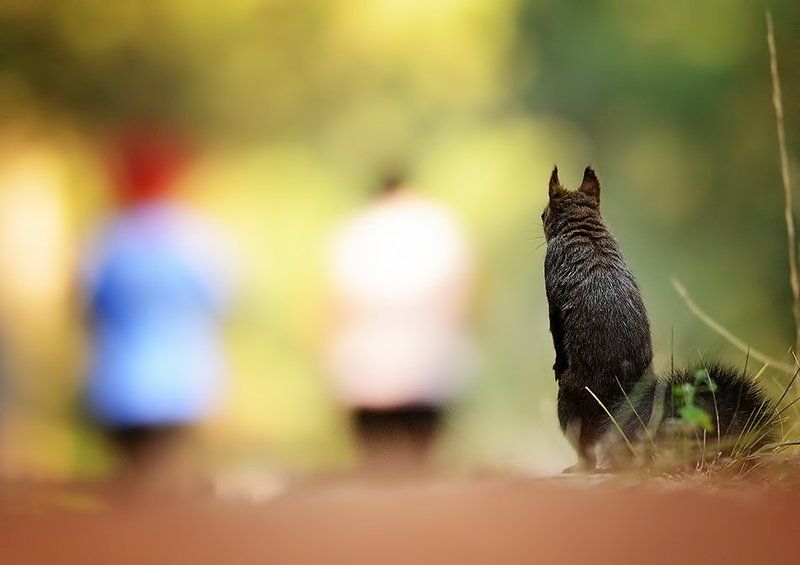 And they didn\'t leave any nuts.. фото превью