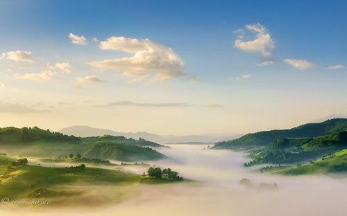 Heaven of Fog