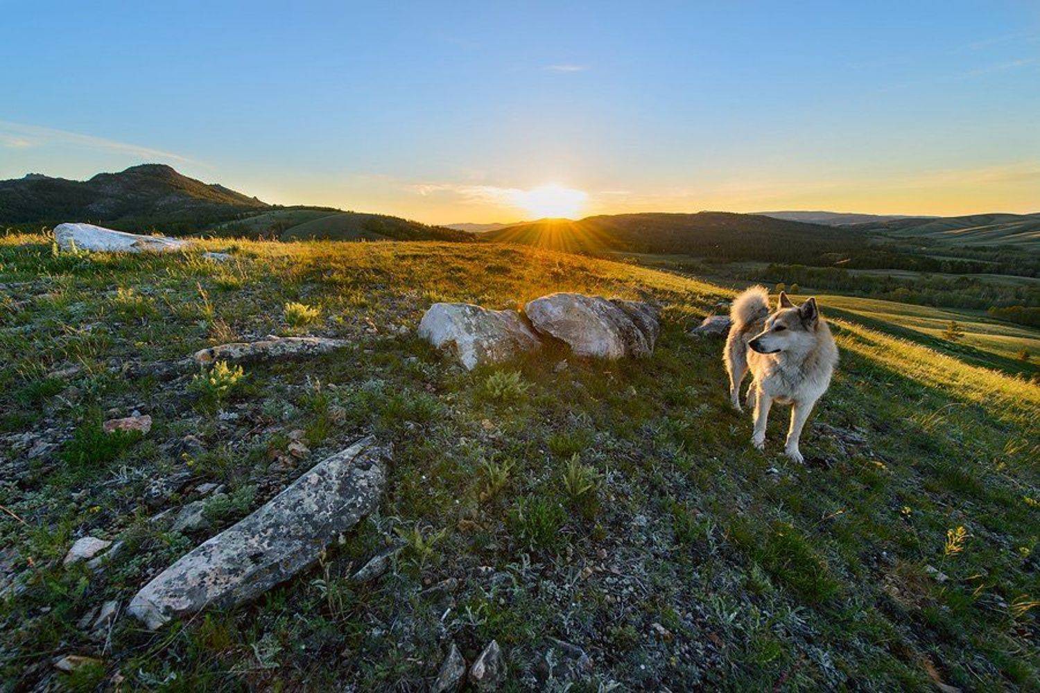 Казахстан, Каркаралинск, Михаил Бритвин