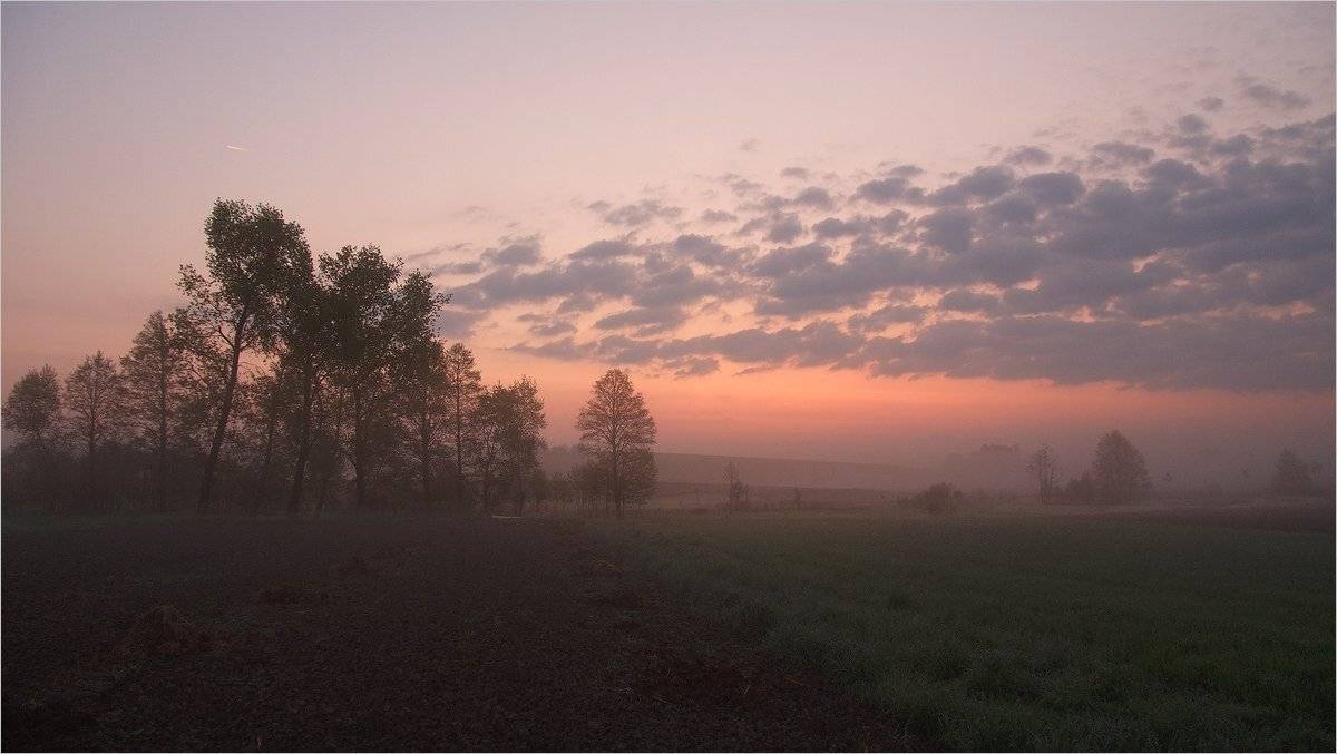 , Николай Шахманцир