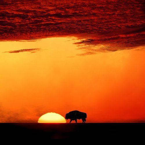 Meeting the sun