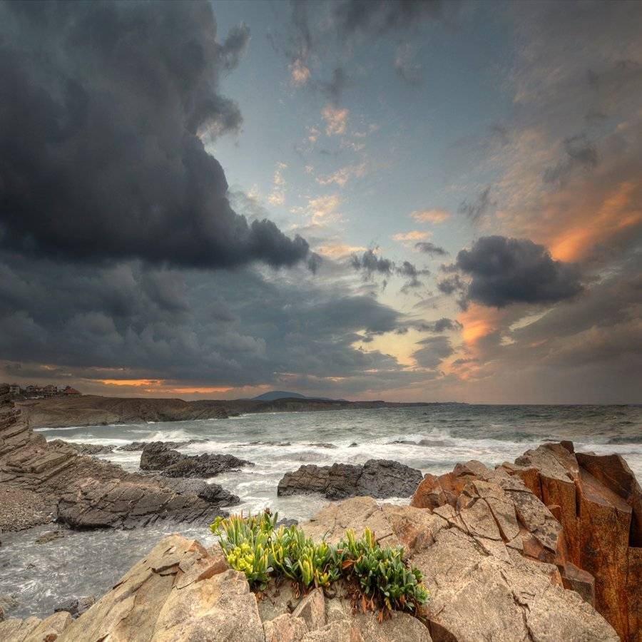 , Румен Паисиев