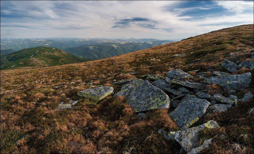 , Полищук И.В.