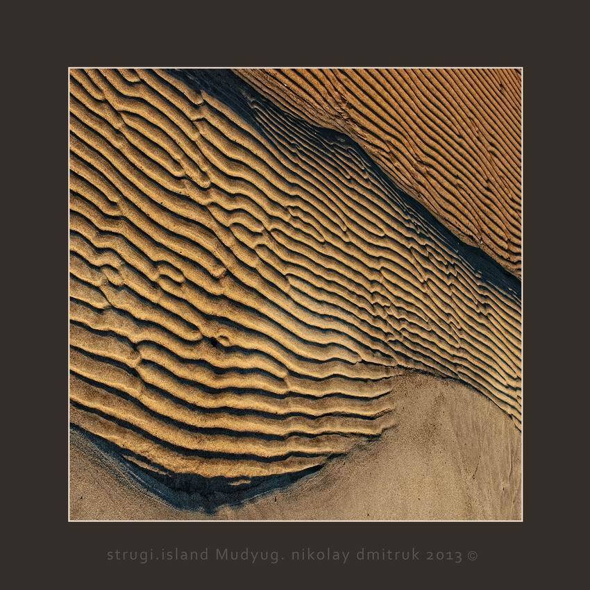 , николай дмитрук