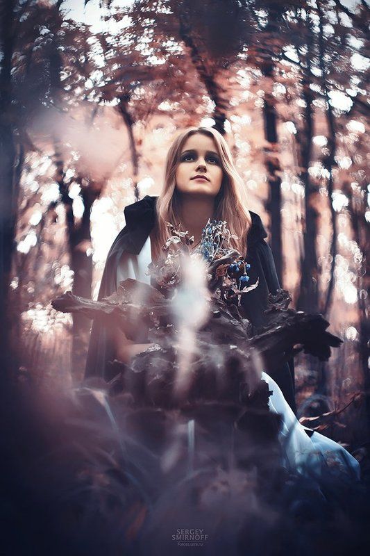 in the wood фото превью