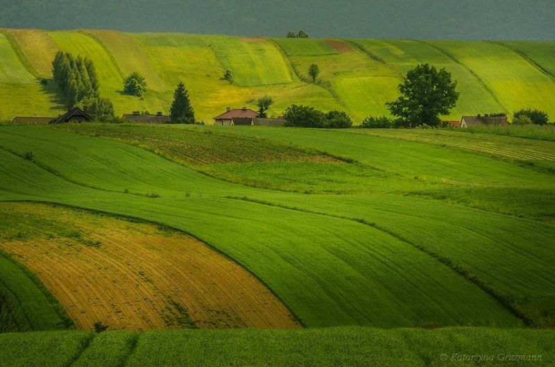 green wave ... фото превью