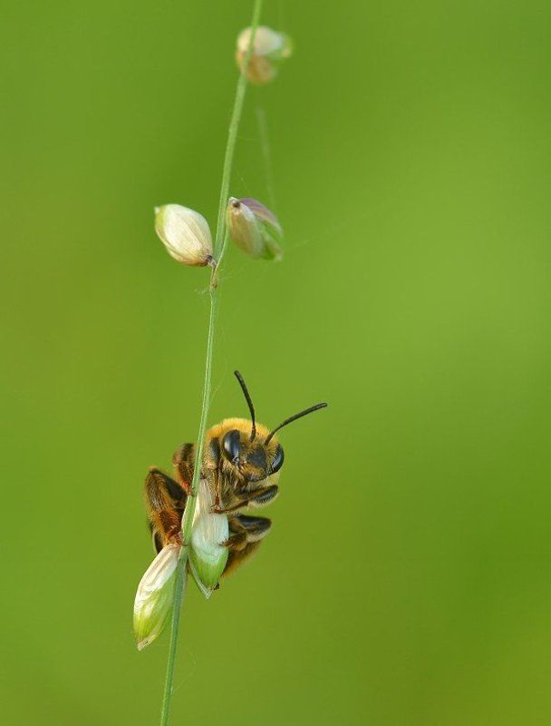 Всем привет :) фото превью