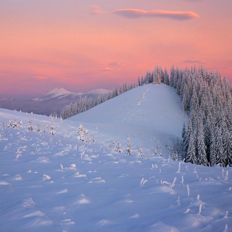 Карпаты, Цибух Тарас *** фото превью
